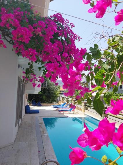 Selenya Apart Marmaris Exteriör bild